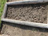 image of grave number 470548